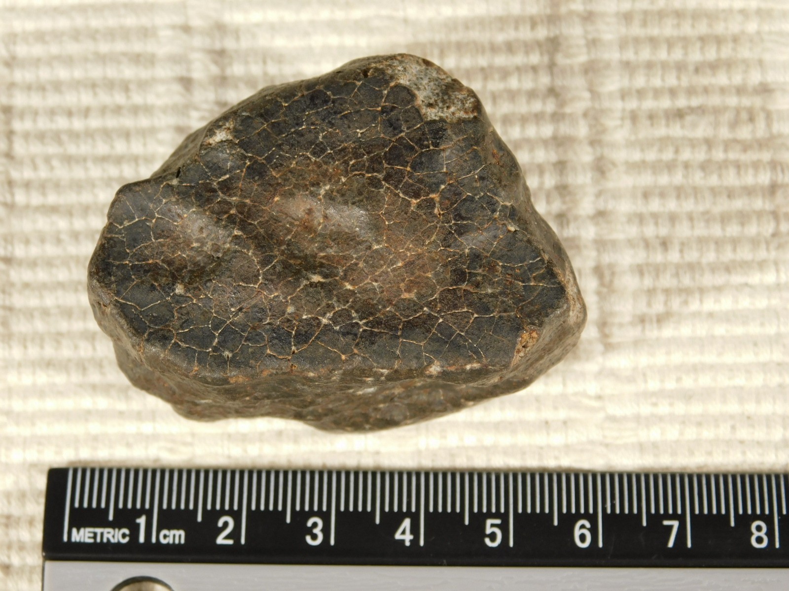 H6 Stony METEORITE Regmaglypts DARK Fusion Crust and Contraction CRACKS! 138gr