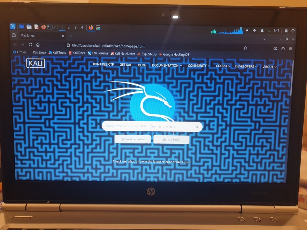 Linux Kali 2025.4, 64-bit, Bootable Live and Install USB Flash Drive