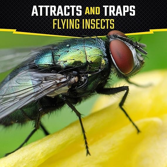 Black Flag Fly Stick Insect Trap, 1 Count