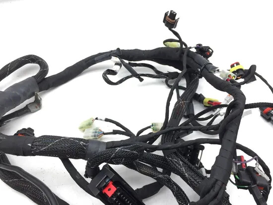 Main Engine Wiring Harness 2017 Ducati Multistrada 950 2866A