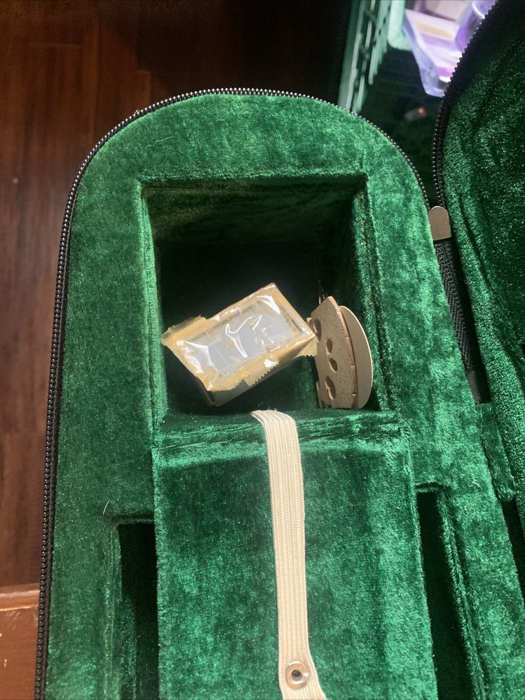 Infinity violin with case- No Strings