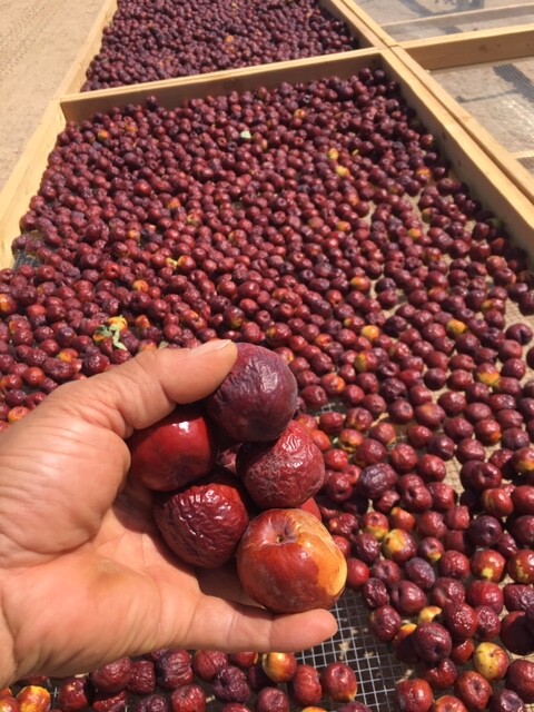 100% ORGANIC Dried Jujube Date California Grown 대추 Hong Zao 紅棗 táo tàu