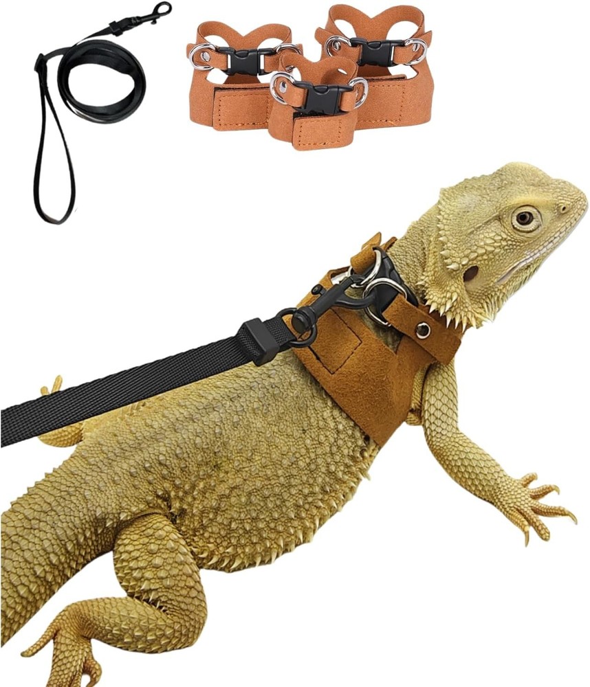 3 Pack Bearded Dragon Harness and Leash Set - Small, Medium, Large, Brown