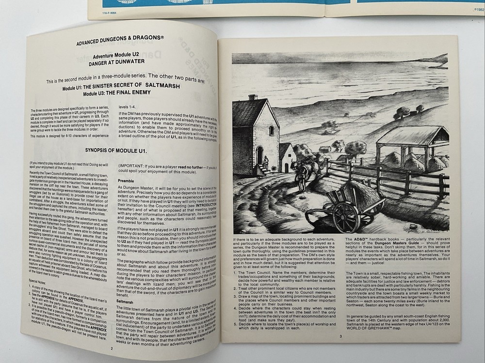 [AD&D] U2 Danger at Dunwater (1982) VG+