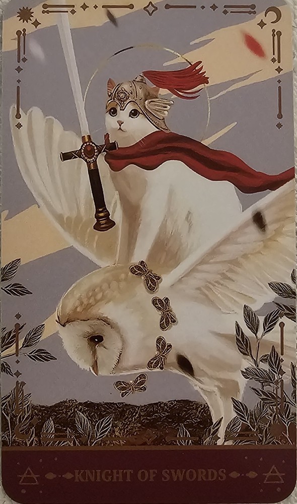 Muse Cat Tarot Deck