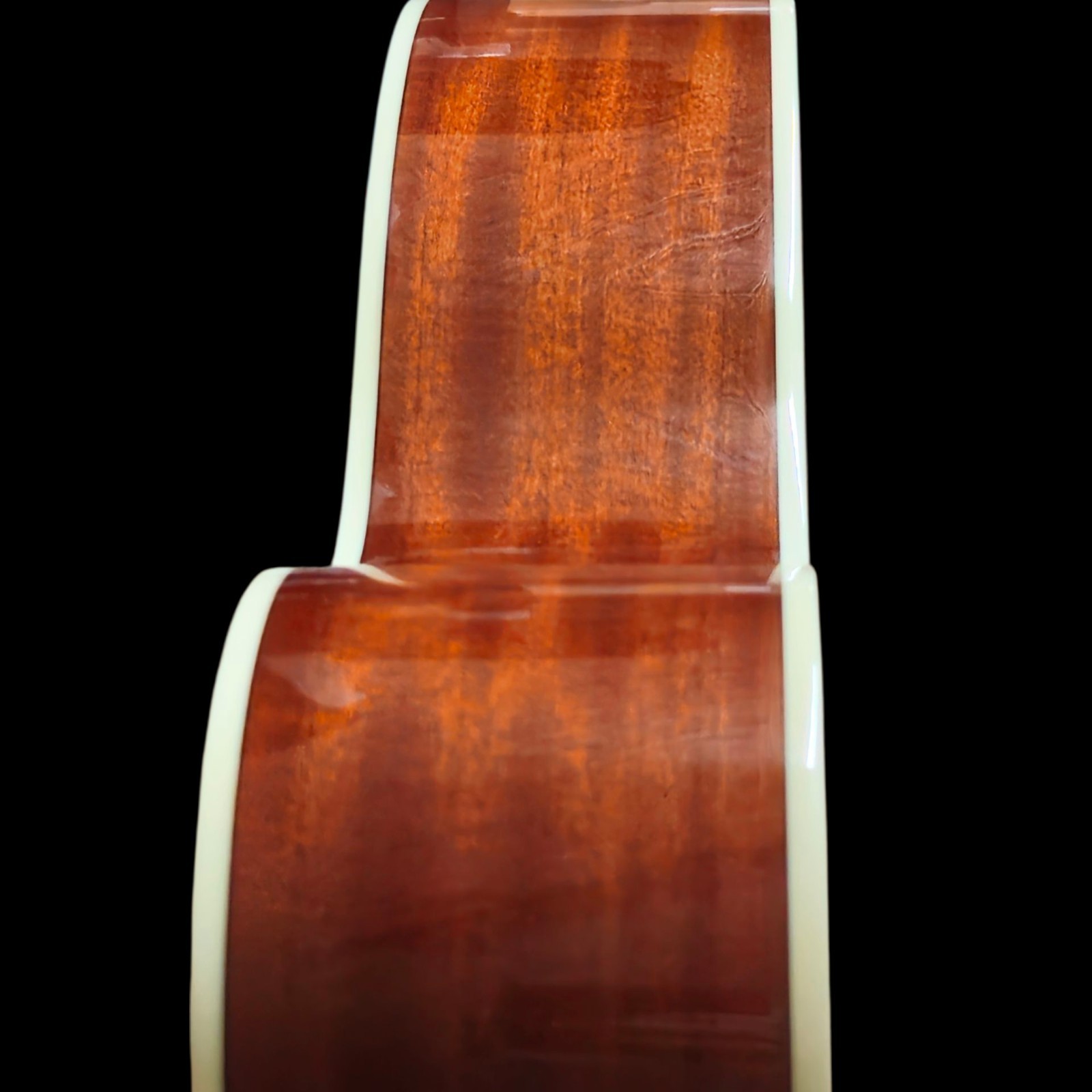 New 12 String Acoustic/Electric Guitar with Flamed Top-Great Playing Guitar