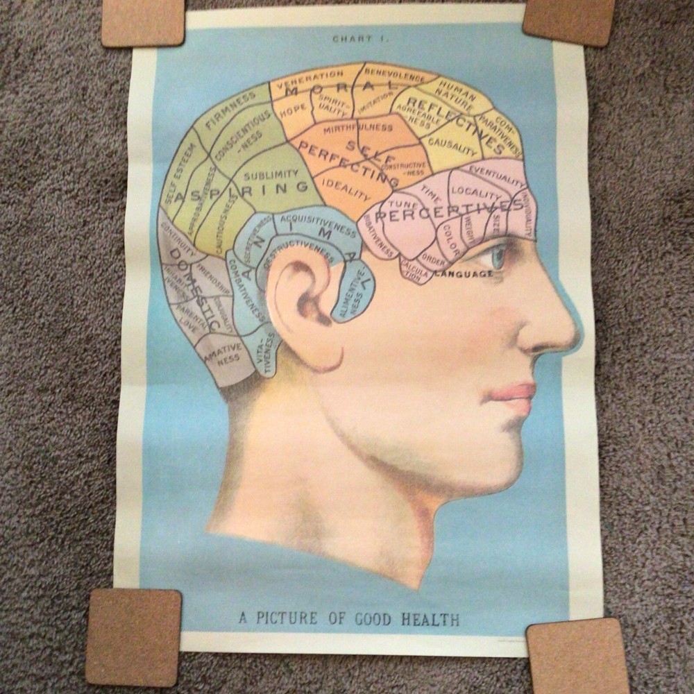 psychological head chart