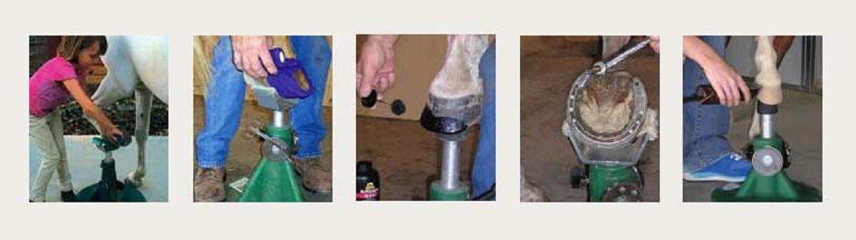 Hoofjack for Horse Owners & Farriers Author​ized Dealer 2023 model