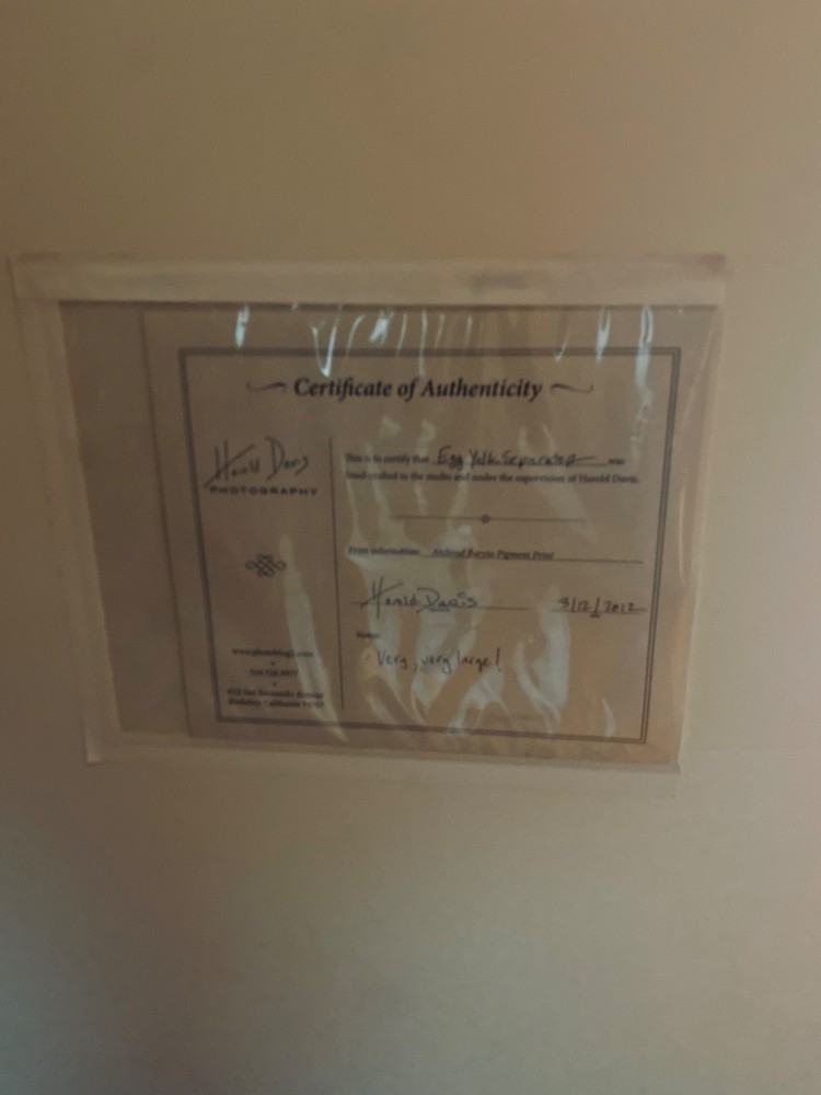 Harold Davis Art work