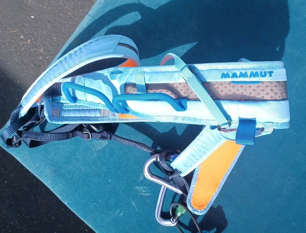 Mammut Climbing Harness