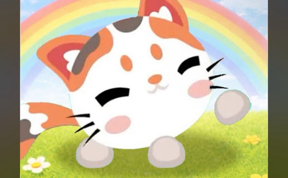 🤍 MEGA Mochi Meow! 🧡