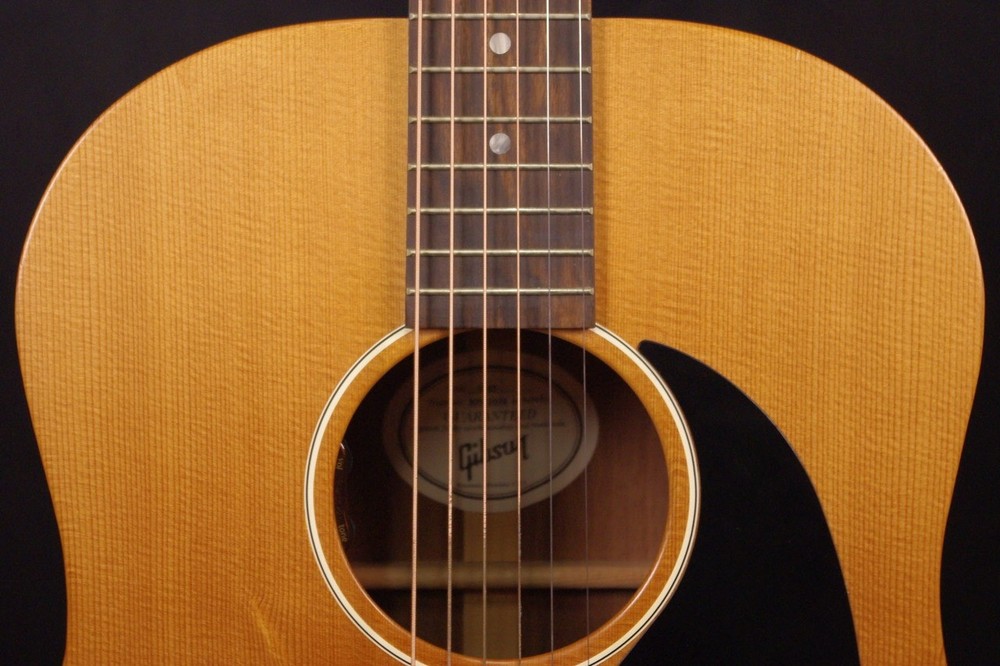 Gibson G-45