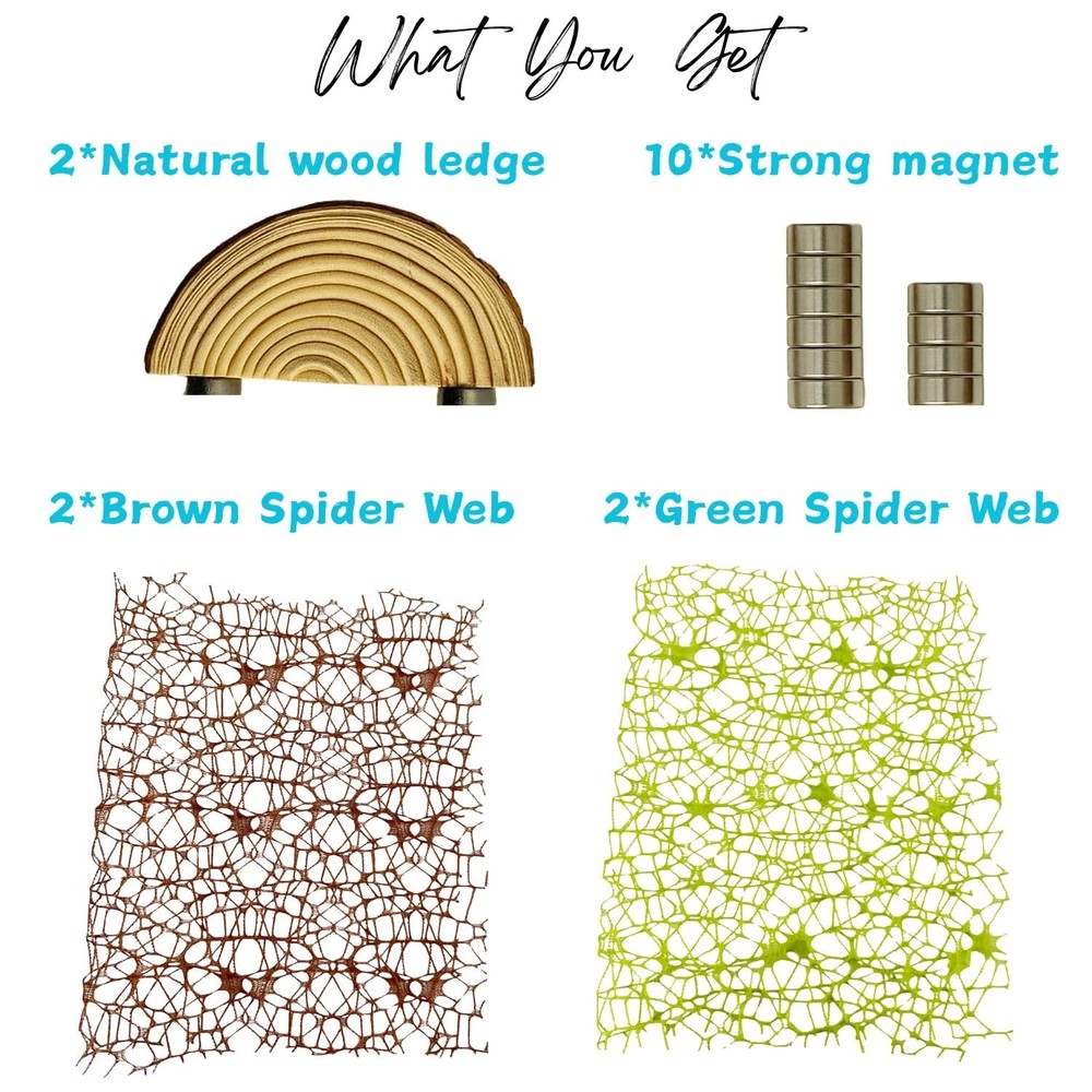 Multi-Functional Jumping Spider Habitat Décor Kit, Small, Brown, Light green