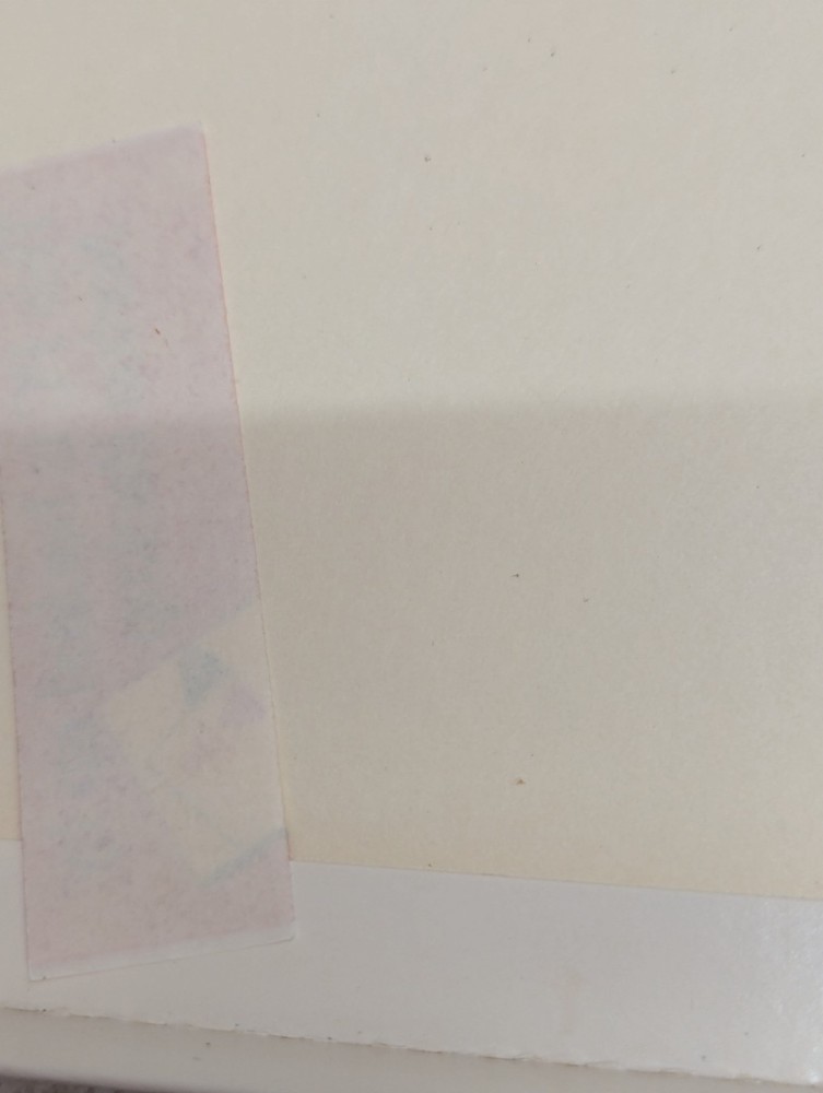 The Norton Backup 5.25" Floppy Discs IBM 1989 PC Computer Program Software