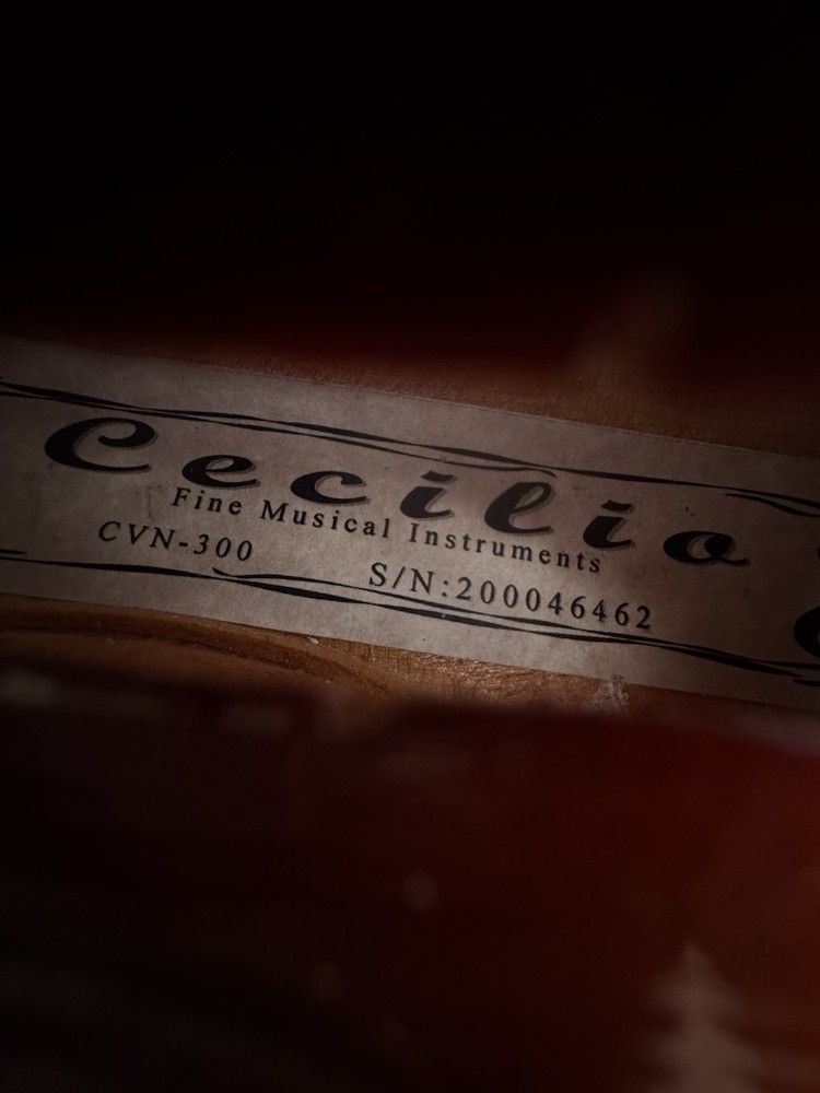 Cecilio CVN-300 Violin