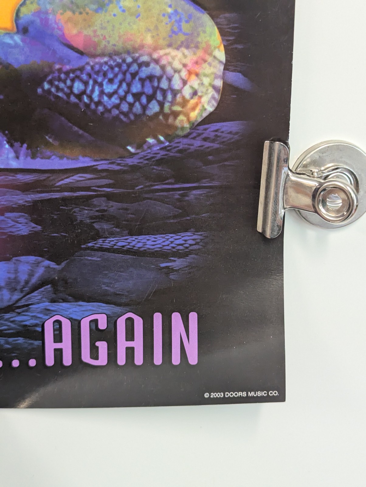 The Doors Of The 21st Century Promo Poster "Let The Ceremony Begin Again" 2003