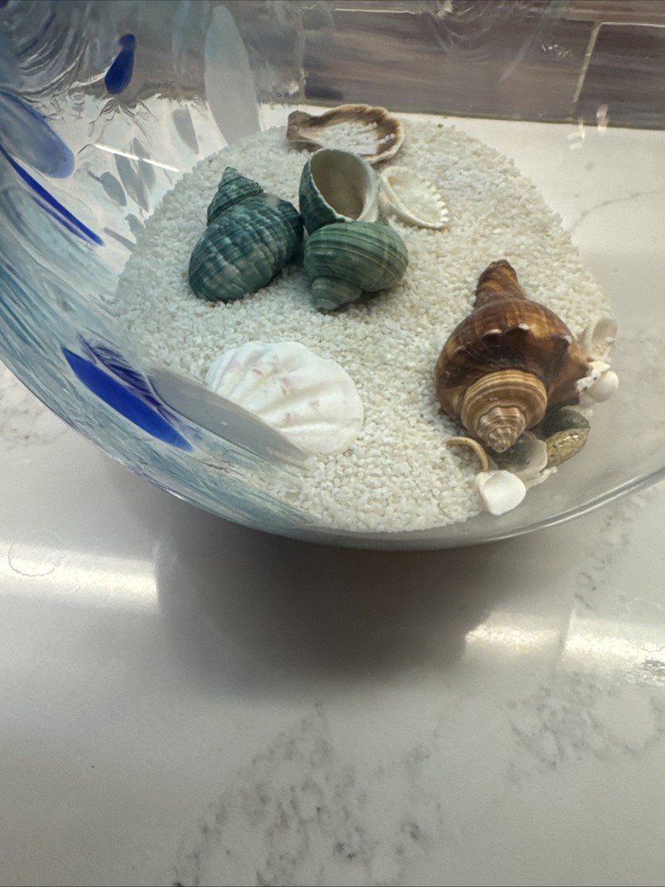Seashell And Sand Globe 8 Inch’s