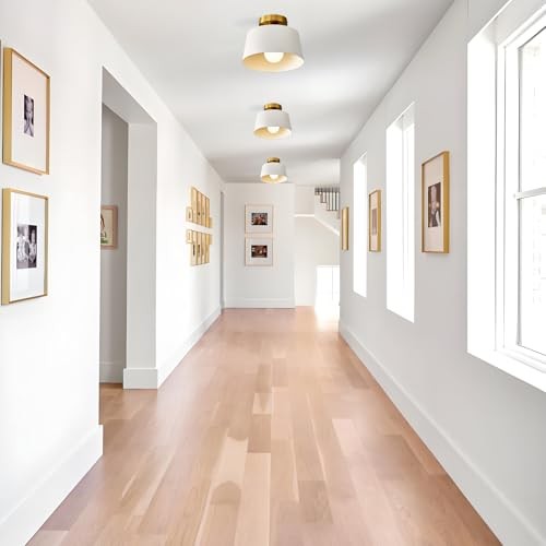 Modern Semi Flush Mount Ceiling Light 3 Pack,Metal Ceiling 10in 3 Pack White