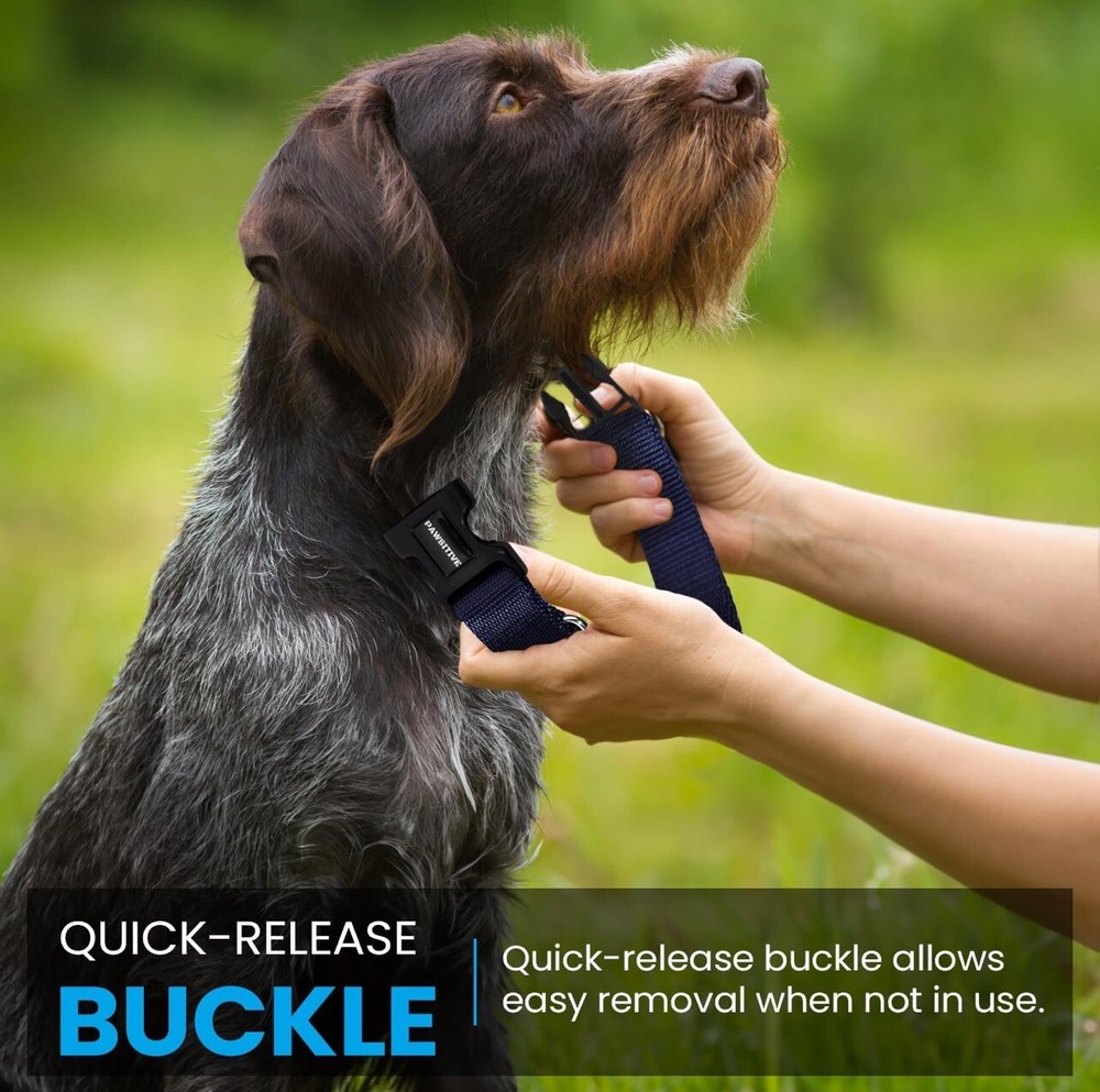 Nylon E Collar Replacement Strap - Shock Collar Replacement Collar Pink