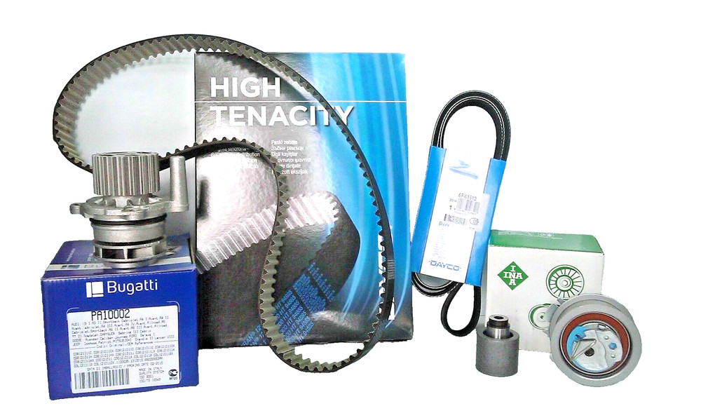 INA DISTRIBUTION KIT+WATER PUMP+SERVICE BELT FOR SEAT-TOLEDO III(5P2)-2.0