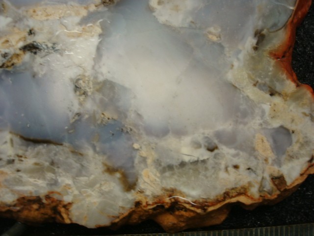 burro creek agate slab
