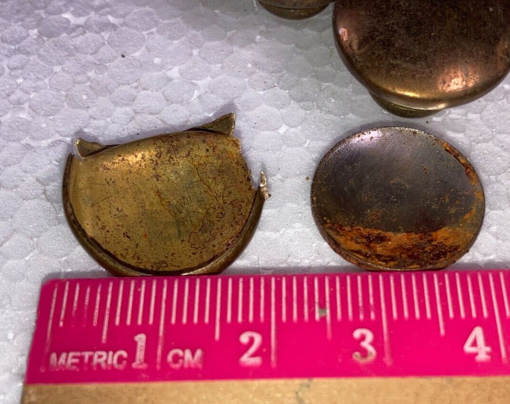 8 Antique Solid Brass Shell Drawer Door Pull Knob Handle Cupboard Screw 2 cm