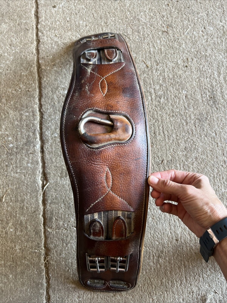 Antares Short Anatomic Girth (50cm - approx 20”)