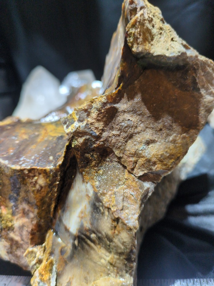 Biggs Jasper Specimen w/ Dendric Natural Form (7lbs 12oz)
