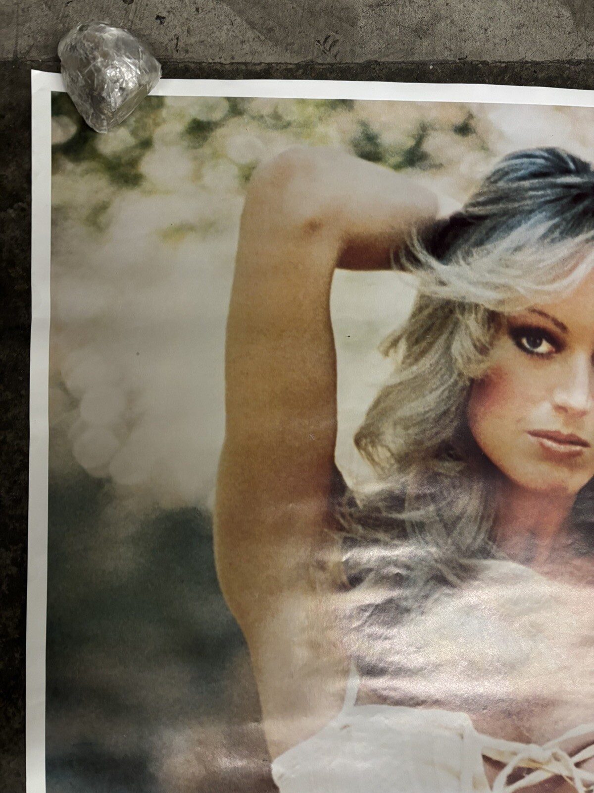 Giant Susan Anton 1979 Hot Girl large door vintage poster actress C2584