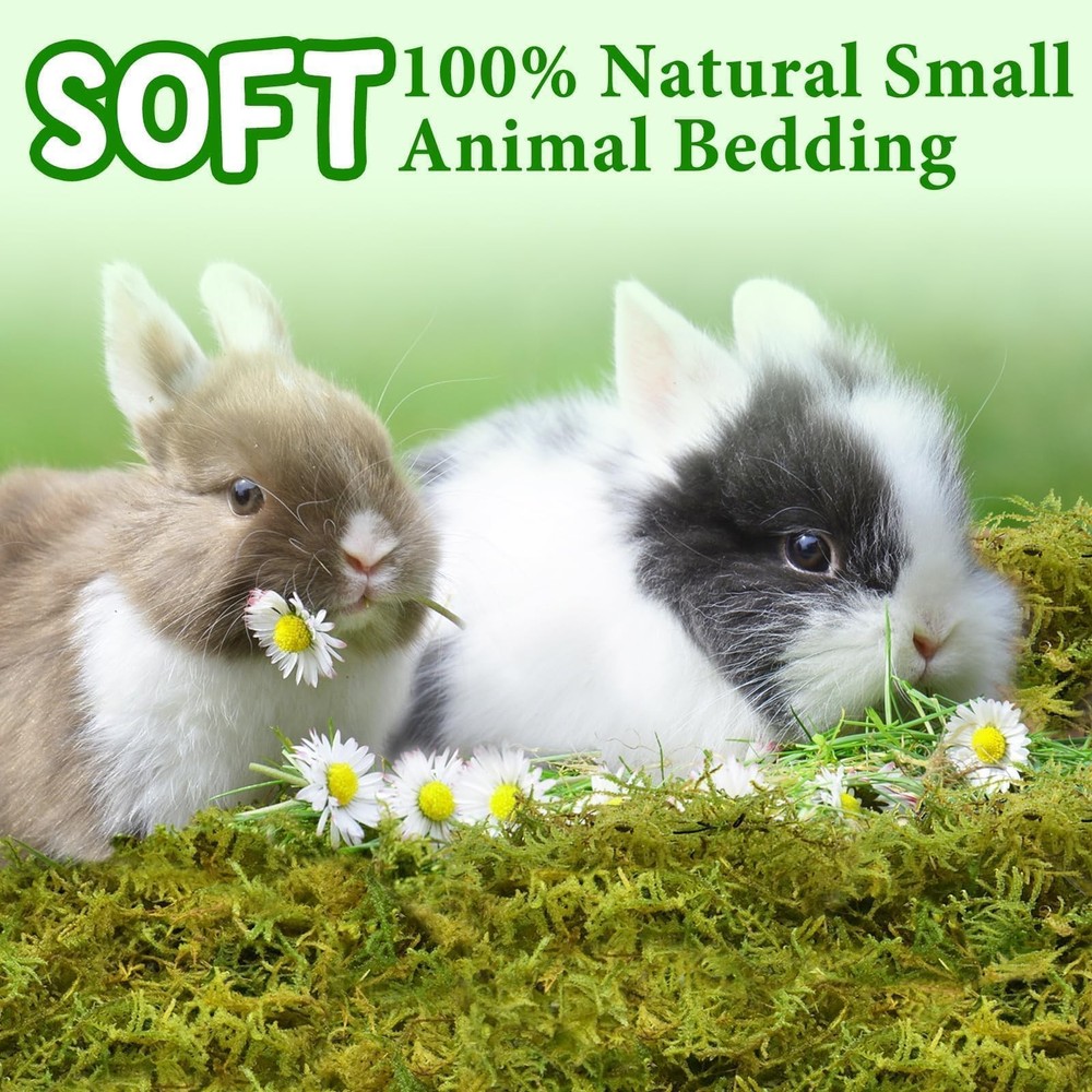 Halatool 12QT Small Animals Bedding & Nesting Material, Forest Moss for Odor ...
