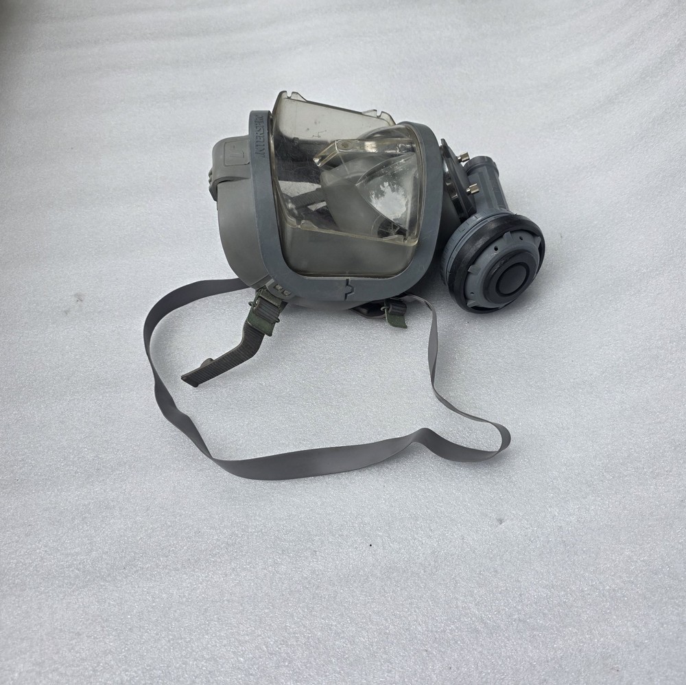 INTERSPIRO Divator Full Face Mask