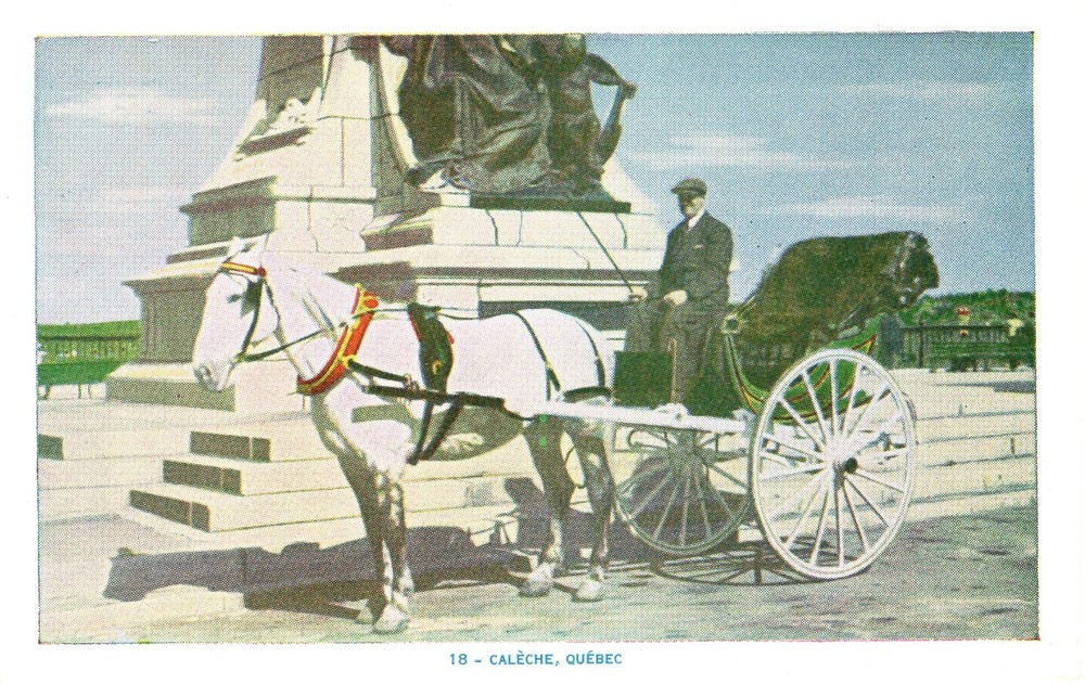 CALECHE, QUEBEC, CANADA - PC6558