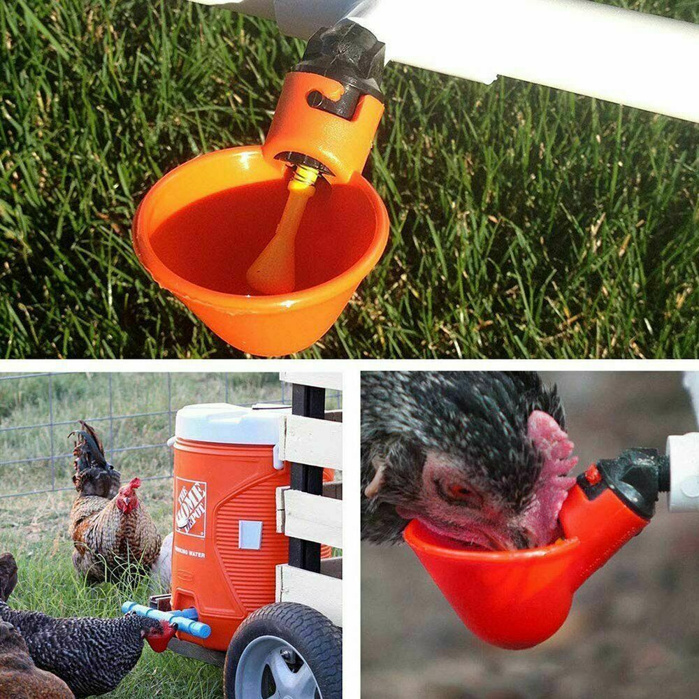 2Pcs Poultry Water Drinking Cups Chicken Hen Plastic Automatic Drinker Feeder
