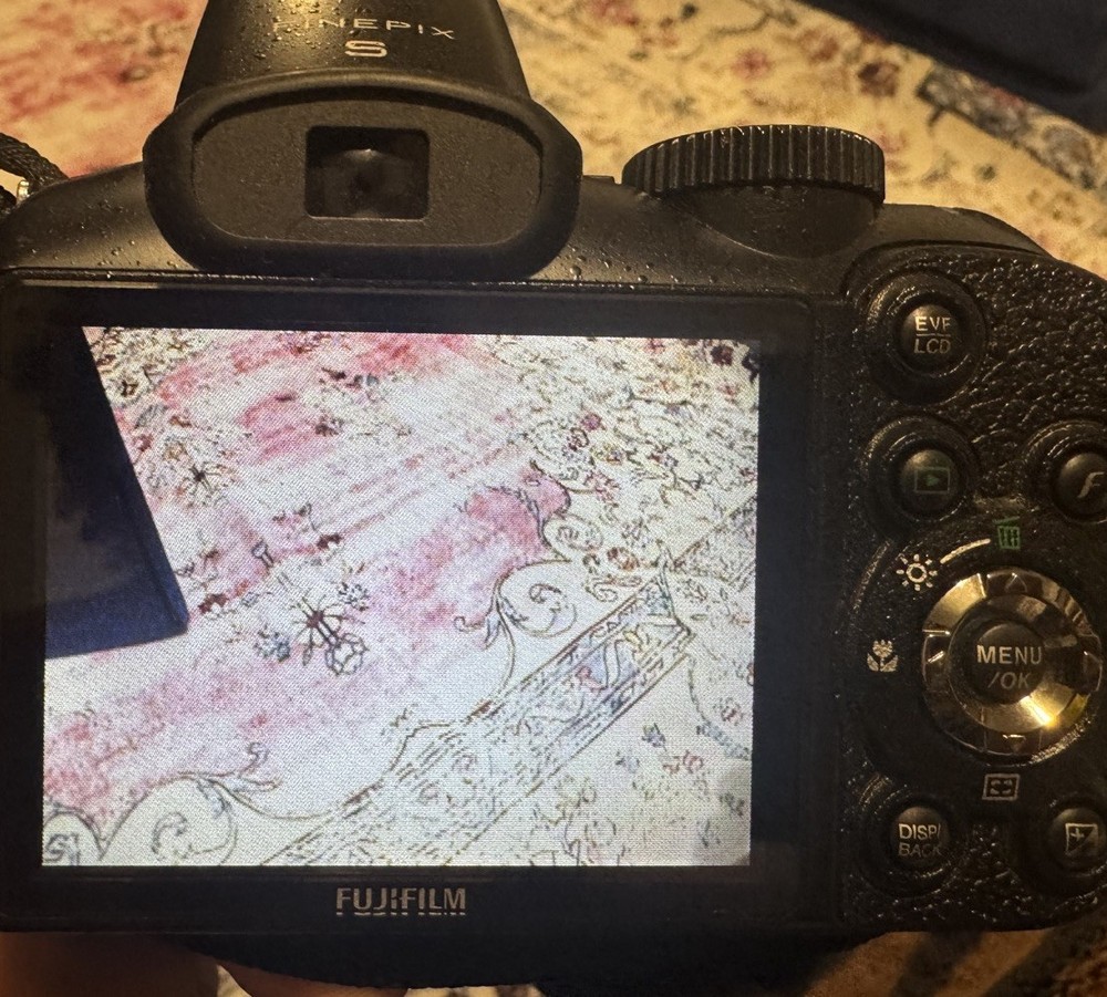 Fujifilm Finepix S1900 Digital Camera 12Mega Pixels working