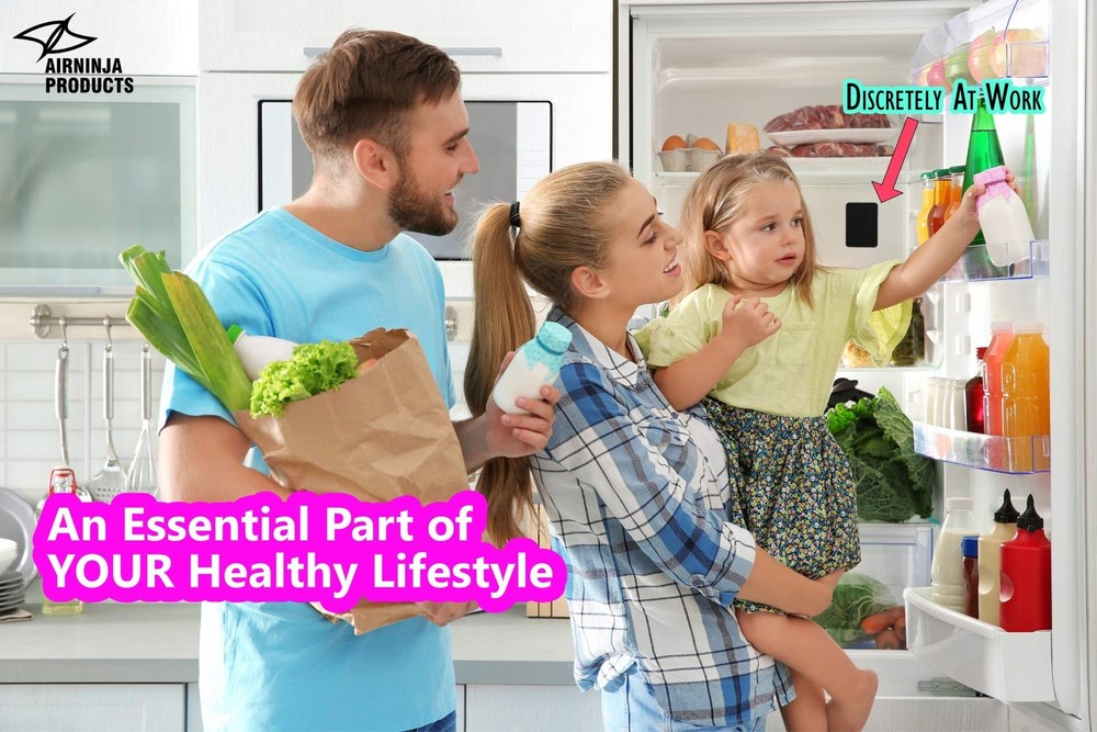 Fridge Deodorizer - Natural Refrigerator Deodorizer Odor Eliminator - Beats B...