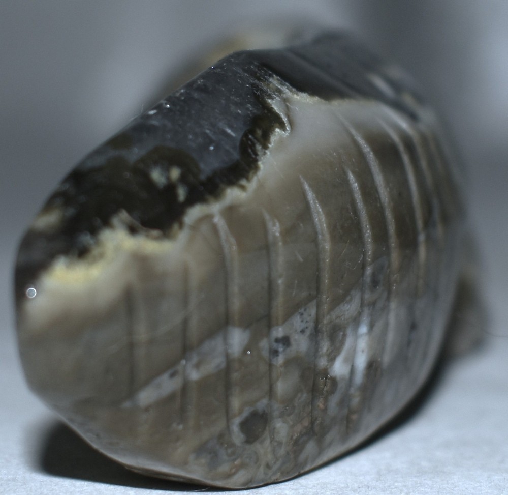 Pretty Volcano Agate Alligator 6.65"/235 Grams