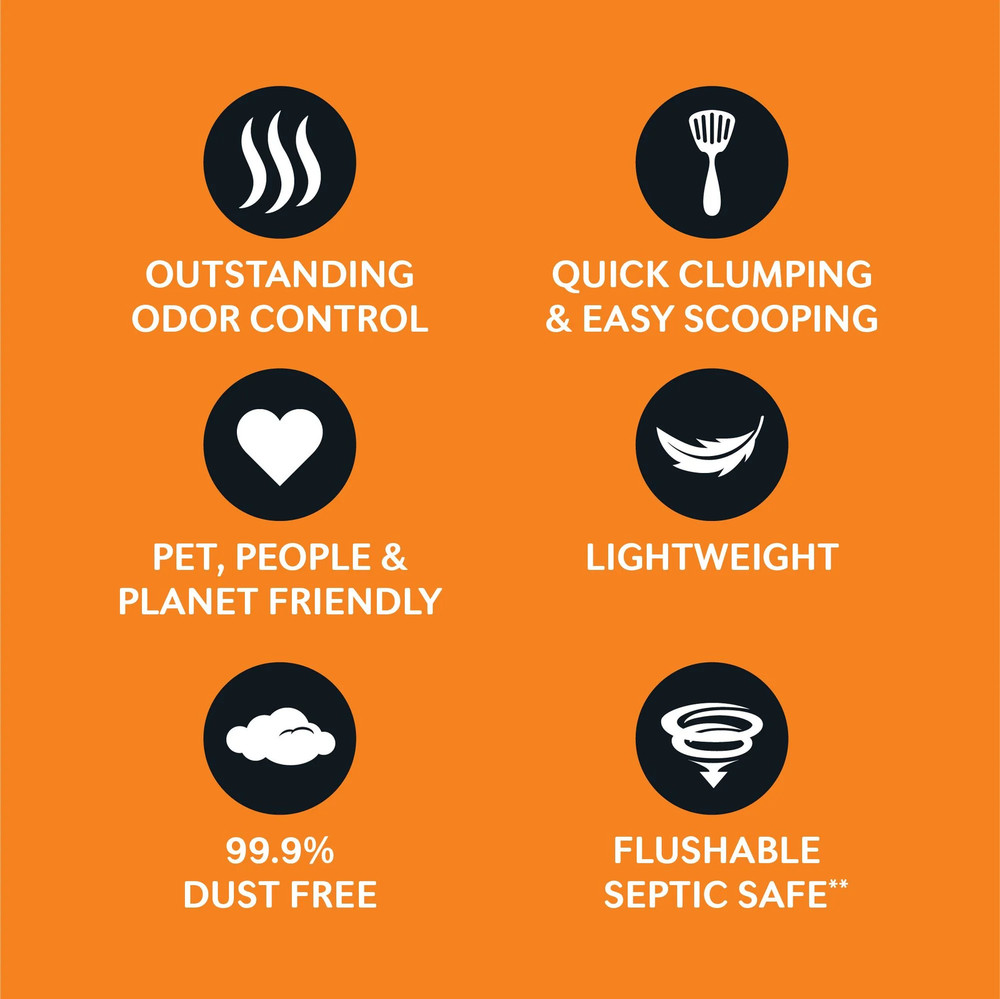 Low Tracking & Dust Control Unscented Cat Litter | Flus
