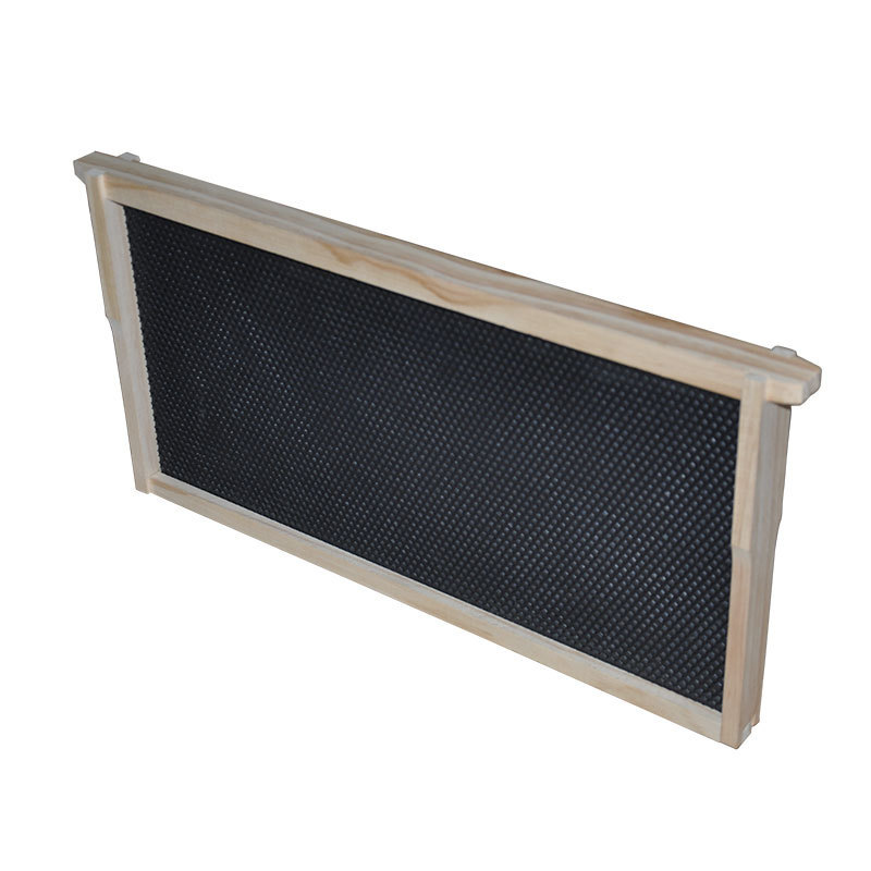 1 Layer Beehive Super Box Deep 10 Frame Wax Langstroth Beekeeping & 10X Frames