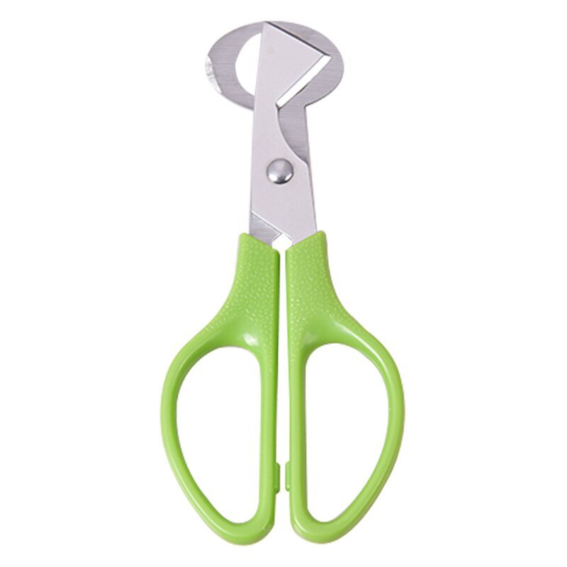 Stainless Steel Quail Egg Scissors Eggshell Opening Divider Scissors Lot