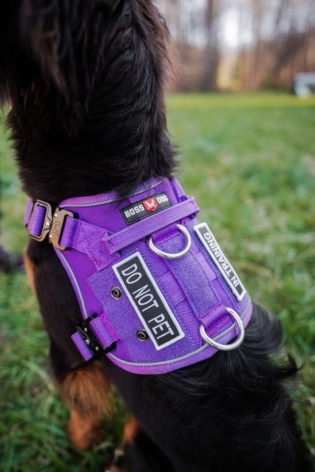 Tactical Hook-Backed Patch for Boss Tactical Harnesses, Do Not Pet, Large