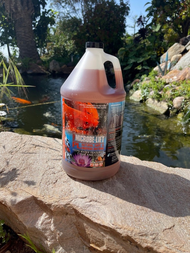 Microbe-Lift Liquid PL Friendly Bacteria Gallons SPRING SALE!