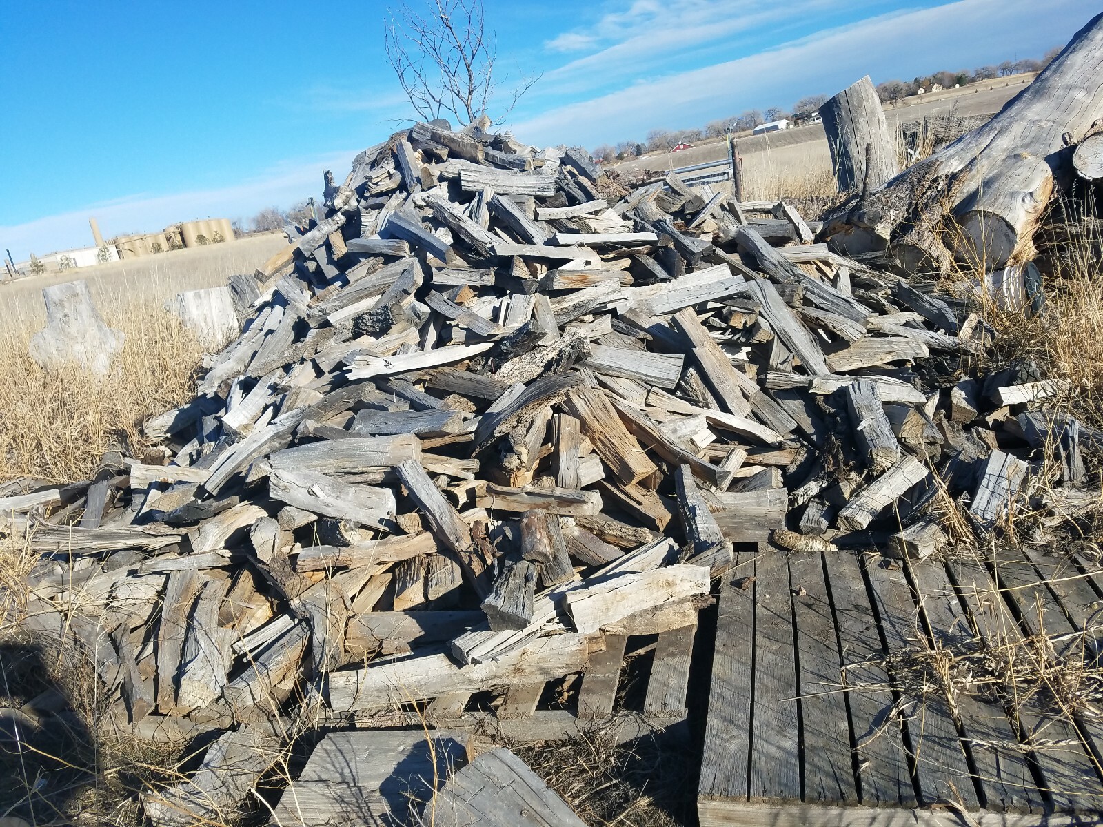 Big Heavy Box, 65+ LBS Better Assorted Hand Split Firewood. Dry. Elm, Poplar, Co