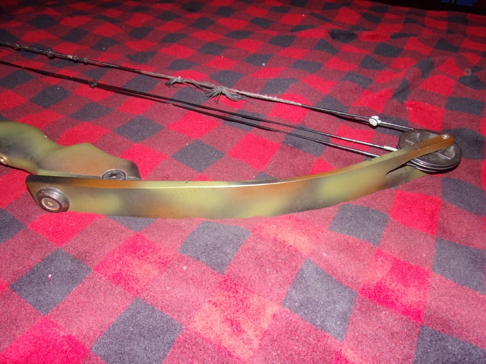 Darton WH300 Compound Bow