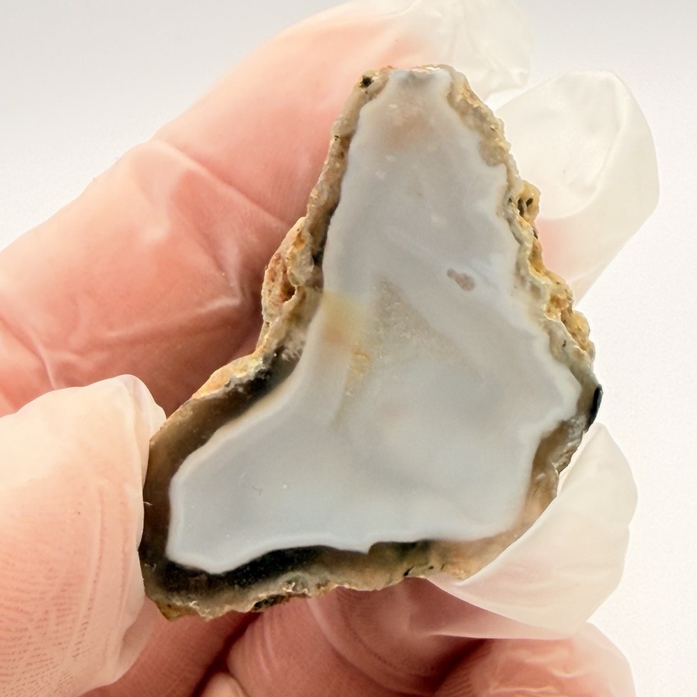 3pc Moroccan Agate Bundle 3.15oz Polished Fortification Moss Agate Slab Specimen