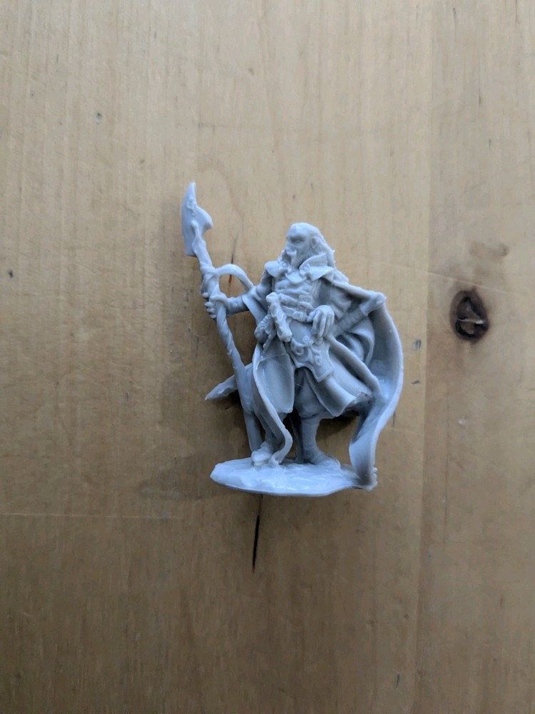 Reaper Bones Valandil, Human Wizard