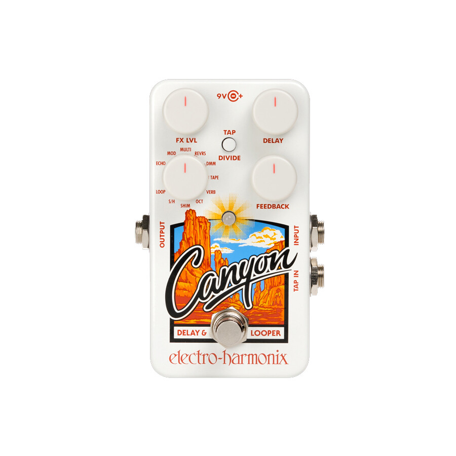 Electro Harmonix Canyon Delay Looper Pedal, New!