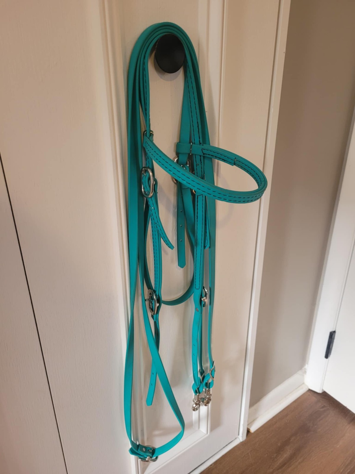Two Horse Tack Teal Biothane Bridle and Snap Reins