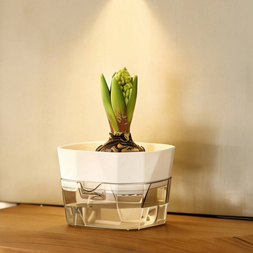 Hydroponic Bulb Vase 2-Layer Design Self-Watering Planter for Desktop,