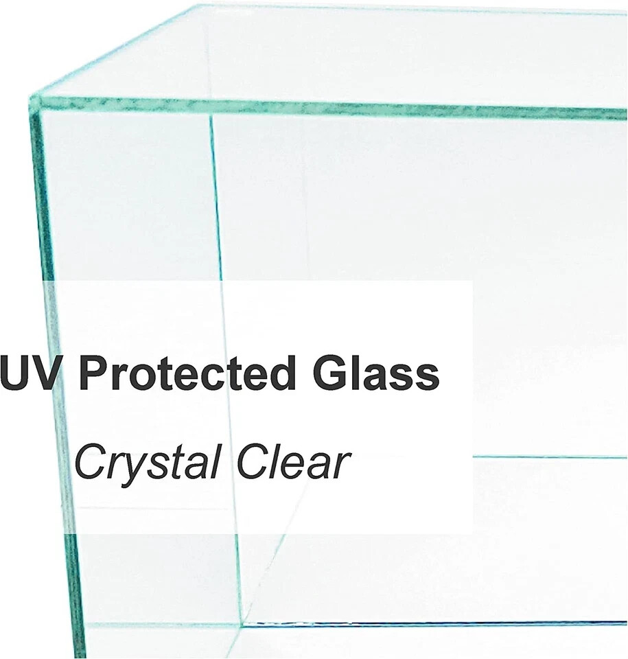 Collectible Mini Baseball Bat Display Case | UV Protection