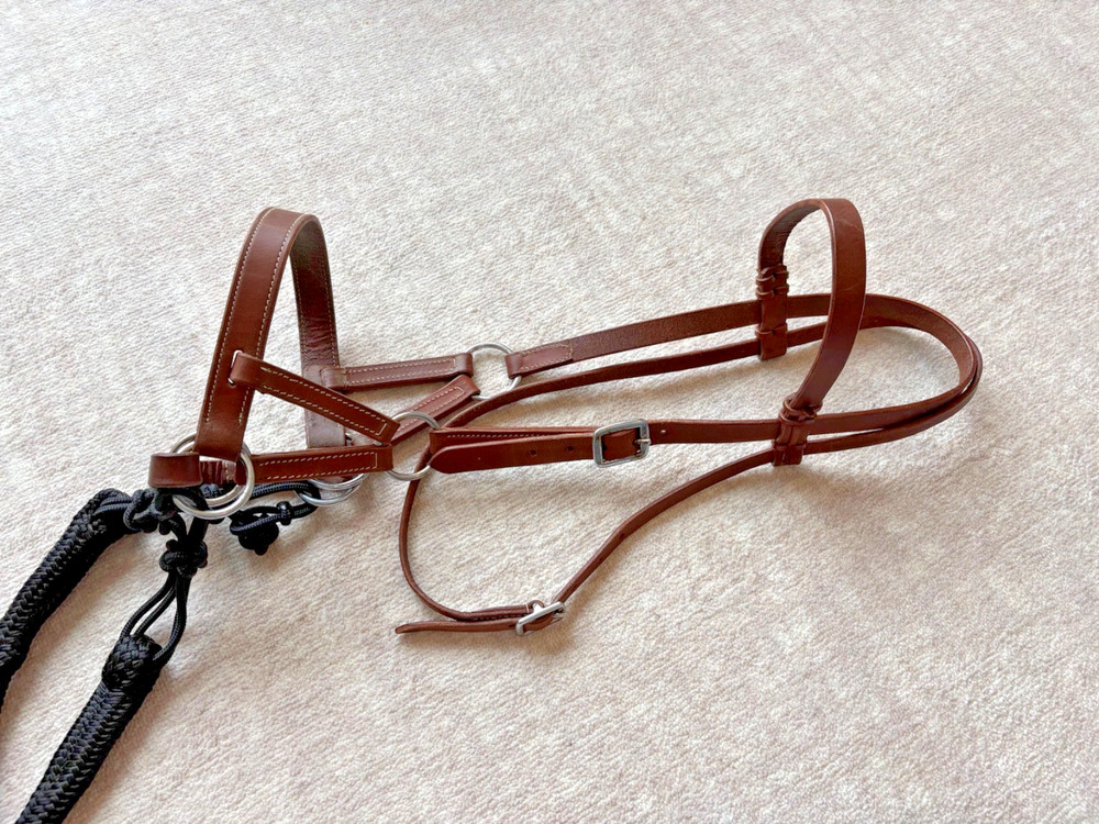 8.5' Poly Loop Rein, Braided Knots and Center Braid Ring, with Leather Sidepull